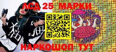 ПСИЛОЦИБИНОВЫЕ ГРИБЫ Будённовск